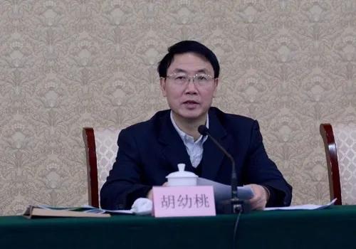 端盛康优配 中央巡视即将结束，中纪委晚间打下今年第29虎！70岁胡幼桃被查